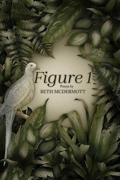 Figure 1, book of poetry by Beth McDermott